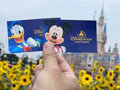 -上海迪士尼度假区