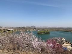 -樱花山风景区