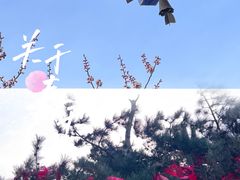 -终南山南五台景区