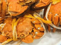 -蟹天蟹地农家菜·阳澄湖大闸蟹(浅水湾店)