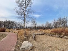 -野鸭湖国家湿地公园