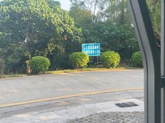-广东惠东海龟国家级自然保护区