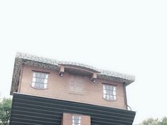 -金山农民画村-枫泾波兰倒置屋
