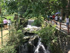 -藏龙百瀑风景区