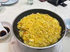-丁老爷子苏香圆