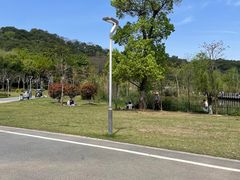 -飞凤山奥体公园