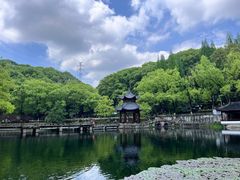 -忠山公园