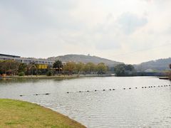 -上海佘山世茂艾美酒店