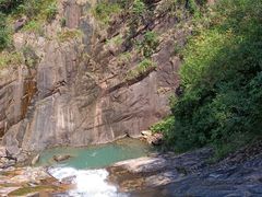 -广州白江湖森林公园