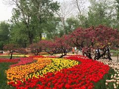 -国家植物园南园