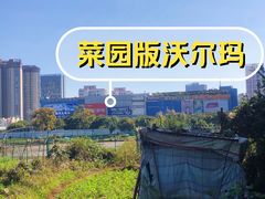 -沃尔玛购物广场(霖雨路店)