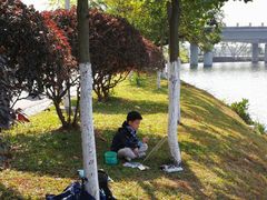 -松山湖南湖湾露营营地