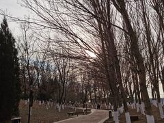 -莫子山公园