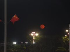 -蠔爺王志德生蚝馆(金沙湾店)