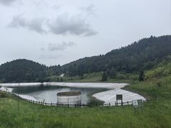 -武陵山森林公园