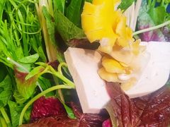 -老凯俚酸汤鱼(多彩城店)