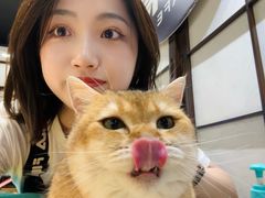 -逗柴咖啡屋·狗咖猫咖宠物桌游