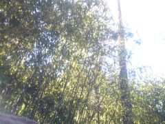 -国御温泉度假小镇