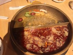 -东道煮牛肉火锅(东盛大街店)
