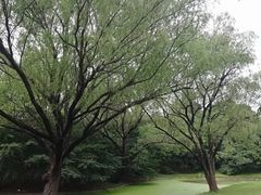 -共青国家森林公园-售票处