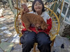 -喵屿·大理花园猫咖