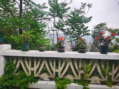 -重庆平顶山公园