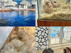 -海合安武汉极地海洋公园