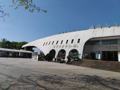 -自贡恐龙博物馆