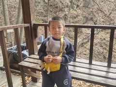 -天女山森林公园