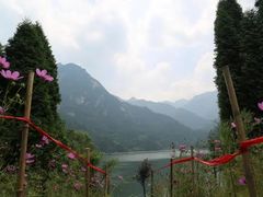 -终南山国家森林公园