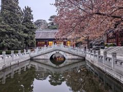 -香山公园