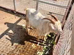 -金庭庄园酒店-停车场