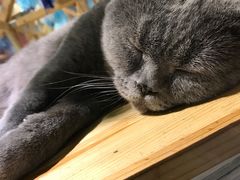 -小时光咖啡馆(开森度假森林店)