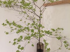 -奈诺甜品·生日蛋糕·下午茶(古城店)