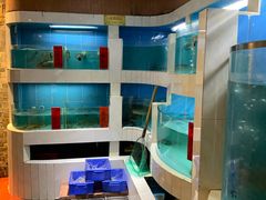 -百丈园龙江啫神馆