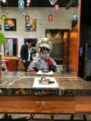 -T.1 hair salon烫染接发