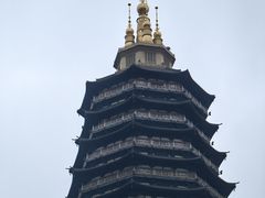 -红梅公园