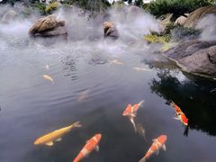 -罗红摄影艺术馆