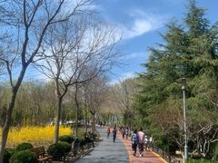 -大兴滨河森林公园