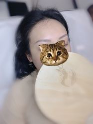 -久匠·野生眉半永久纹眉