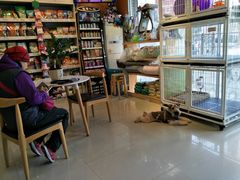 -我爱吾宠宠物美容院(朝阳路店)