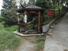 -南山植物园