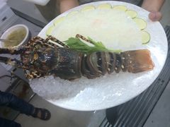 -顺峰渔港中国人的餐厅