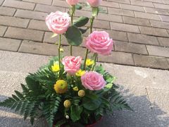 iphone_upload_pic-杭州街角花屋花店(闻堰店)