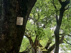 -楠溪江风景名胜区