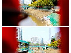 -福田红树林生态公园