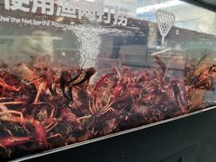 -盒马X会员店(王府井奥莱UP TOWN店)