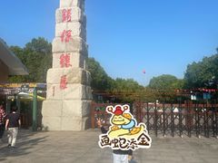 -中国扬子鳄村
