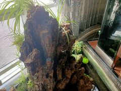 -江南原著(中联广场店)