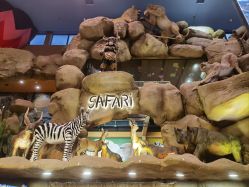 -卡通尼·Safari非洲探索乐园·生日会(金桥国际商业广场店)